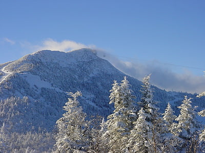Vermont, neve, Nova Inglaterra, árvores, Inverno, geada, céu