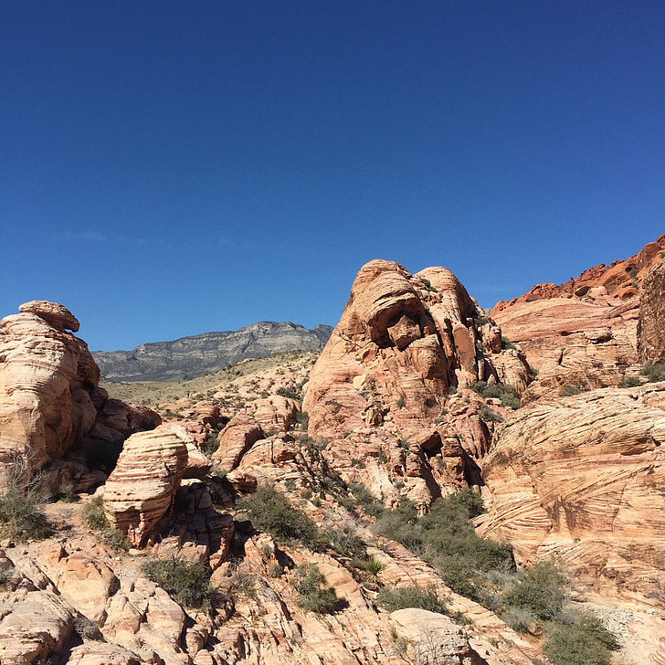 USA-Tourismus, Red Rock Canyon park, blauer Himmel, rot, Rock