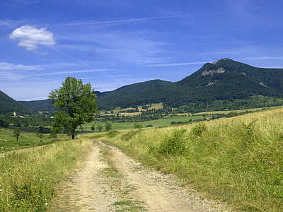 Slovaquie, Strážov, Zliechov, montagnes, Meadow, chemin d’accès