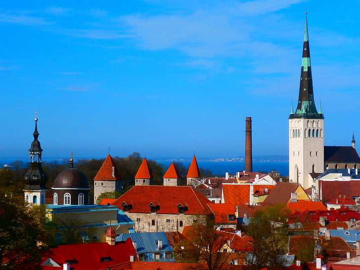 Oleviste, templomok, óváros, piros, tető, Tallinn, utazás