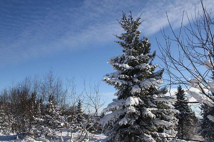 neu, muntanyes, l'hivern, natura, cel, plaer, paisatge