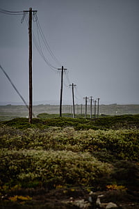 assorted, brown, wooden, electrical, posts, gray, cloudy
