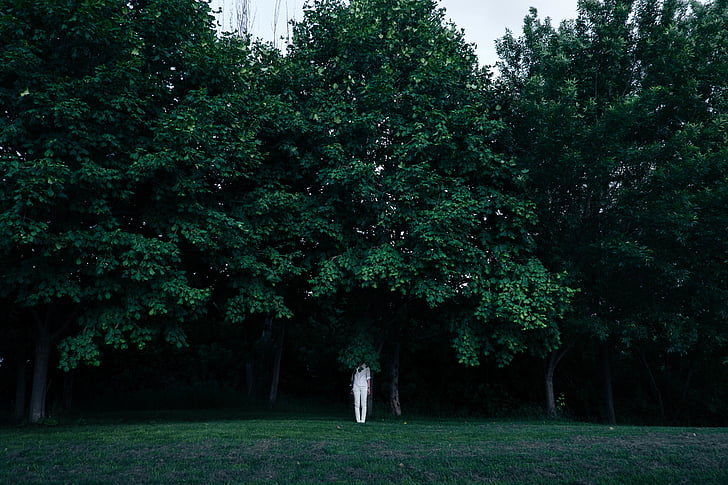 πρόσωπο, λευκό, στέκεται, πράσινο, χλόη, περιβάλλεται, δέντρα