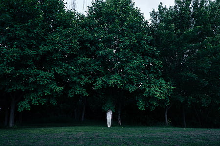 pessoa, Branco, em pé, verde, grama, cercado, árvores