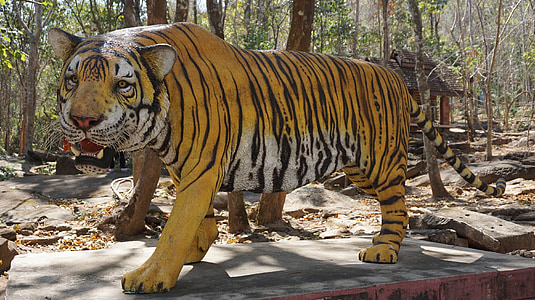 Tigre, estatua de, impresionante, patrón de, colmillos