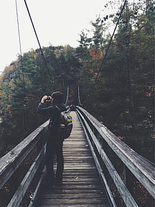 osoba, stoji, most, drvo, priroda, šuma, šume