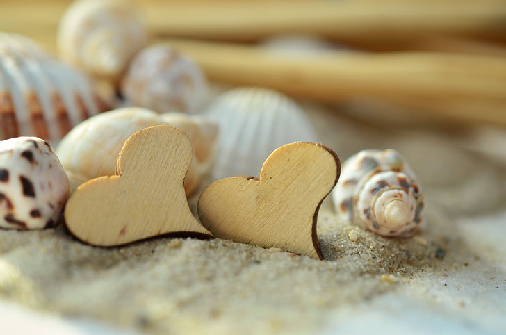 zand, hart, hout, mosselen, strand, symbool, liefde