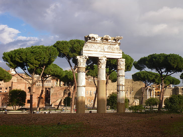 Rzym, Forum, antyk, sosna