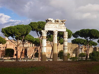 rome, forum, antiquity, pine