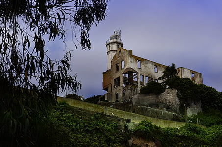 Alcatraz, burung, Pulau, penjara, laut, Pariwisata, San