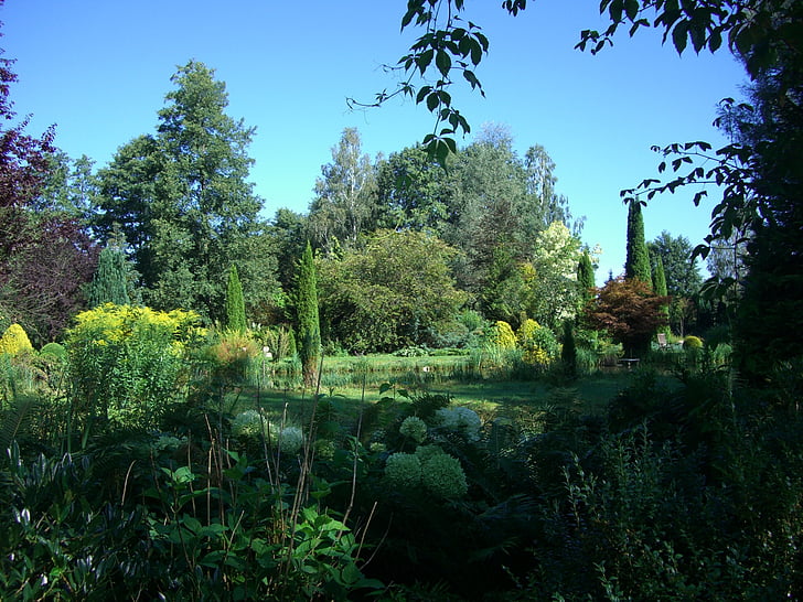 marzellus garden, biberachzell, swabia, bavaria, paradise, plants green, sky blue