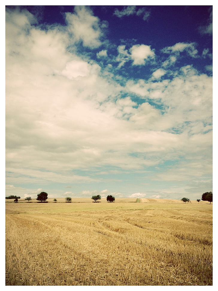 landscape, trees, fields, straw, sky, blue, yellow