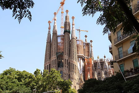 Barcelona, kirke, bygge, spansk, Spania, katedralen, byen