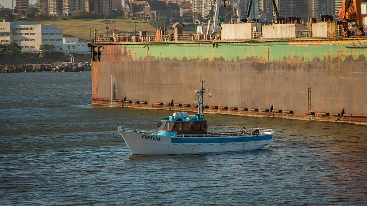 båt, Mar del plata, Argentina, port