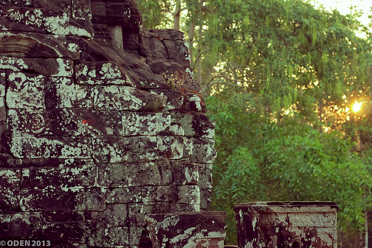 kamień, drzewa, zielony, Siem reap, Angkor thom, dekoracje, Natura