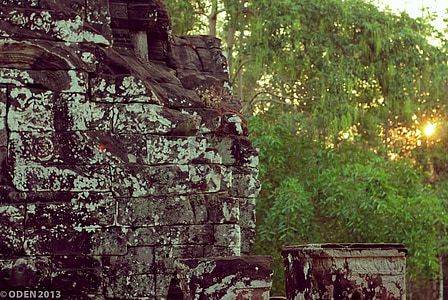 piedra, árboles, verde, ciudad de Siem Riep, Angkor thom, paisaje, naturaleza