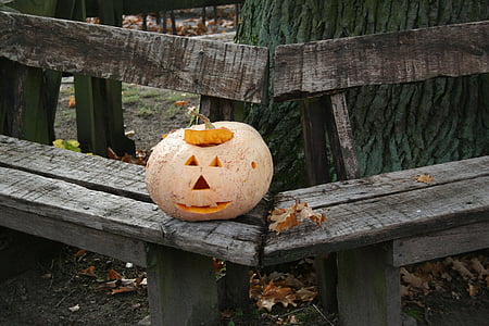 automne, citrouille, Halloween, orange, 31 octobre