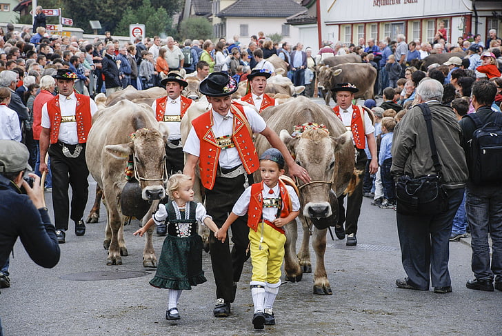 trgu govedo, krava, appenzell, Švica, v tradiciji je, ljudje, množice