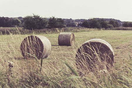 Hay, Bale, tumpukan jerami, bidang, padang rumput, pedesaan, pertanian