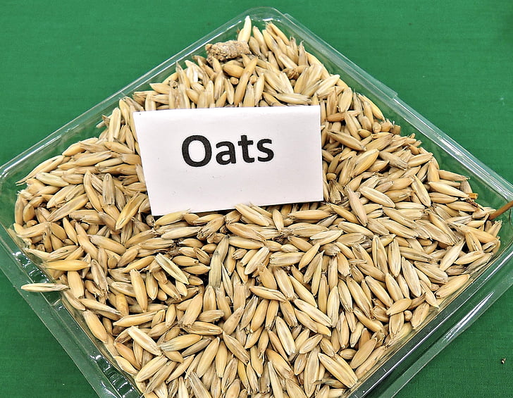 oats, grain, cereal, animal feed, seeds, edible, food