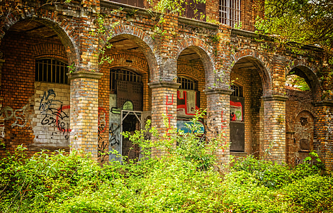 lost places, wall, home, brick, red, dilapidated, overgrown