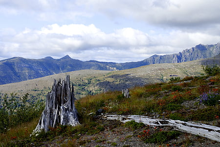 mount st helens, mountain, volcano, nature, landscape, scenics, outdoors