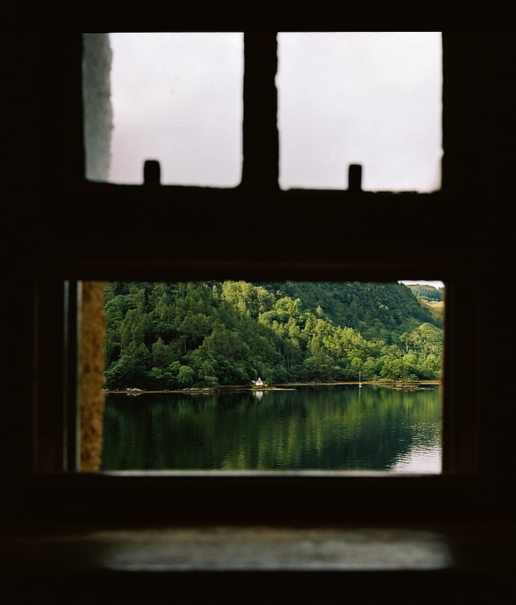 forest, lake, trees, water, window, woods, nature