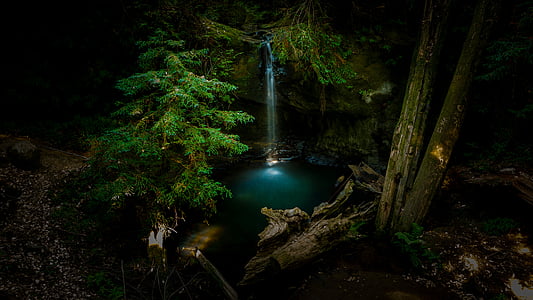 landscape, photography, falls, surrounded, trees, green, plant