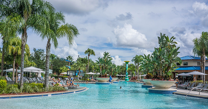 Resort, piscine, Tropical, Floride, été, vacances, piscine