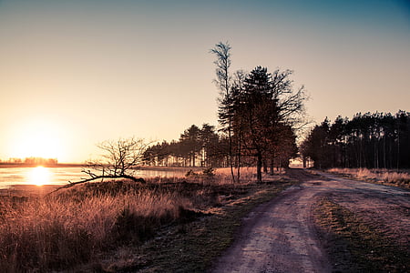 sunset, dirt road, nature, forest, road, outdoors, scenery