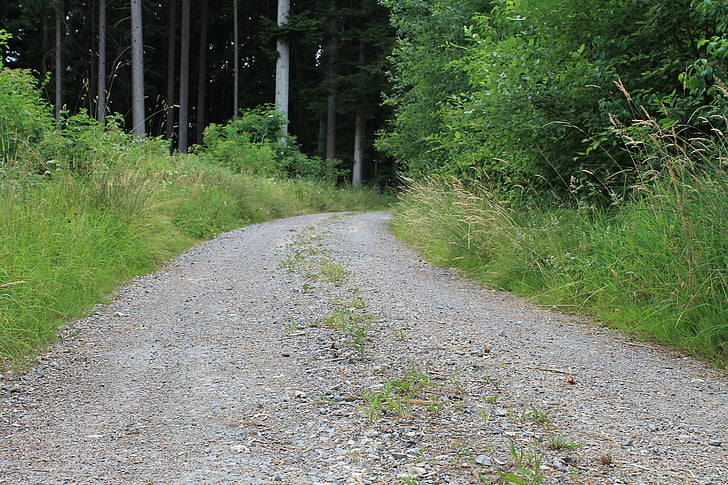 Schotterstraße, Waldweg, entfernt, Kiesel, Wald, Natur, Kies