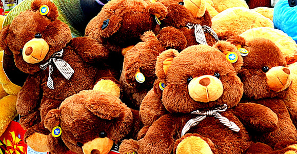 hewan, beruang, beruang, mainan, mainan, boneka binatang, Plush toy