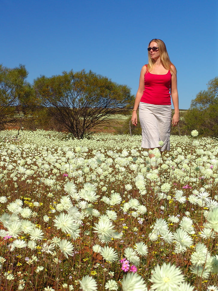 fleurs sauvages, Australie, Outback, femme