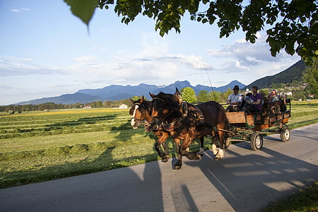 horses, horse drawn carriage, more, spring, sunshine, may, mountains