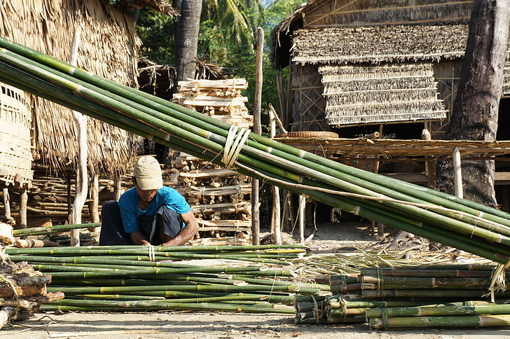 bambus, fabrikken, bambus kuttere