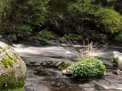 水, 石头, 草, 自然, 流, 瀑布, 河