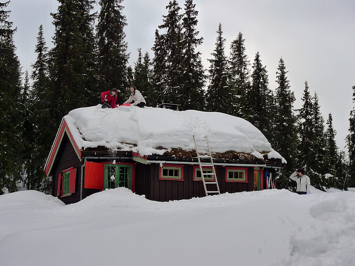 montagne, neige, Cottage, hiver