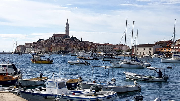 mer, ville, Rovinj, Croatie (Hrvatska), navire, port, vieille ville