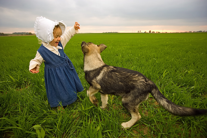fazenda, rural, menina, cão, jogando, campo, céu
