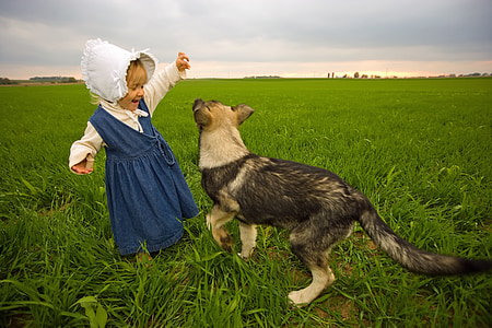 boerderij, platteland, meisje, hond, spelen, veld, hemel