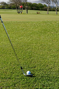 golf, ball, golf ball, golf club, grass, sport, golfing
