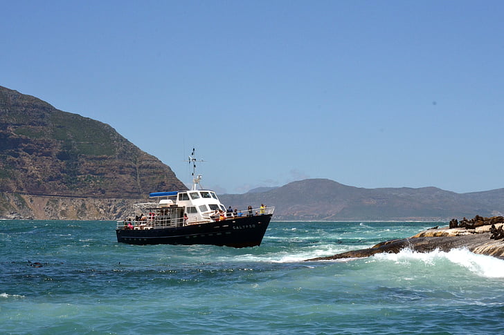 båtkryssning, Ocean, Sealife