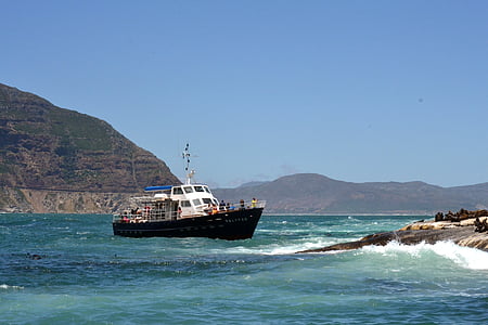 crociera in barca, oceano, Sealife