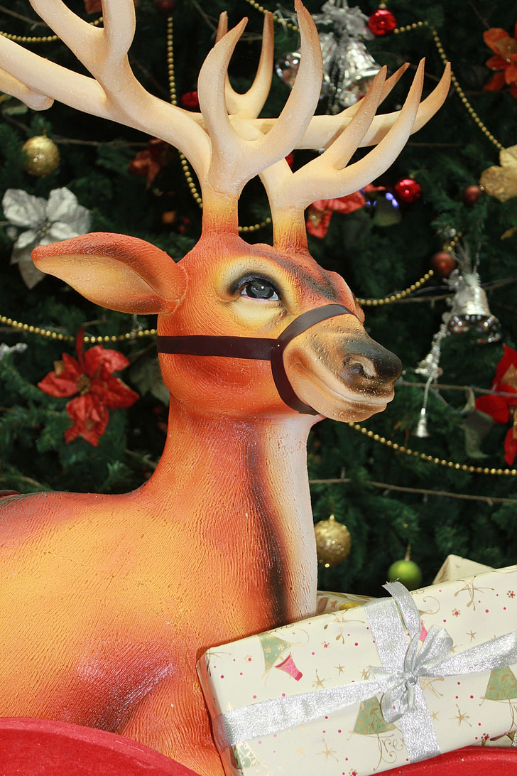 Ren geyiği, Noel, Dekorasyon, ağaç, hediyeler, Xmas