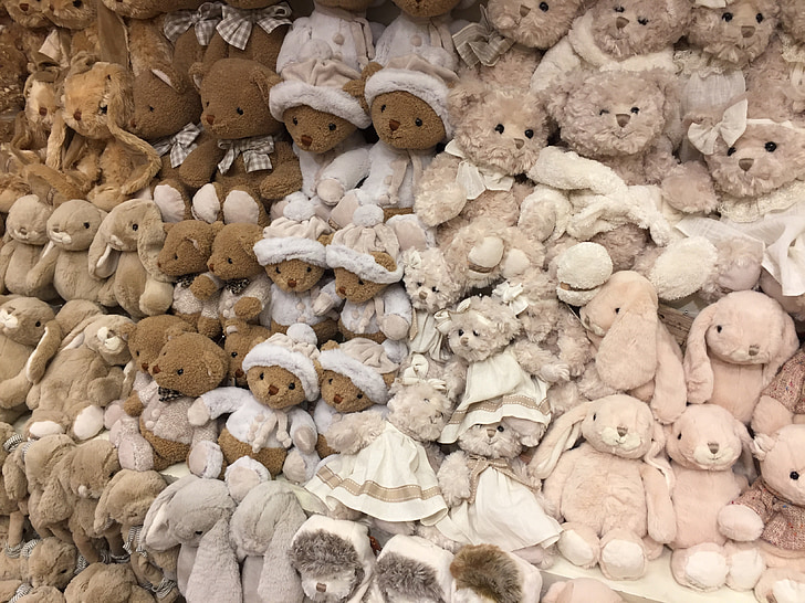 toy, bear, teddy