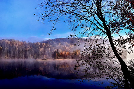 pemandangan, Danau, alam, Gunung, musim gugur, Québec, pohon