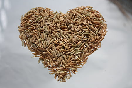 srdce, rýže, rýže srdce, tvar srdce, Láska, detail, žádní lidé