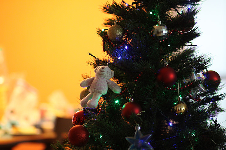 božič, drevo, medved, dekoracija, praznovanje, božično drevo, počitnice