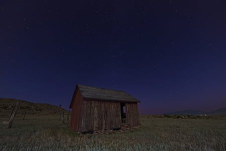 brown, house, green, grass, field, night, time