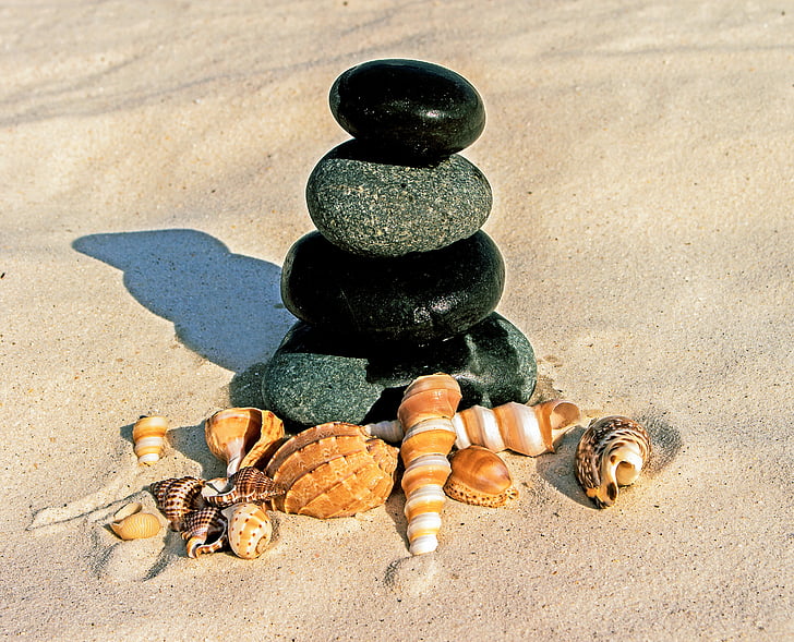 steiner, muslinger, stranden, sand, flate steiner, havet steiner, steiner zen